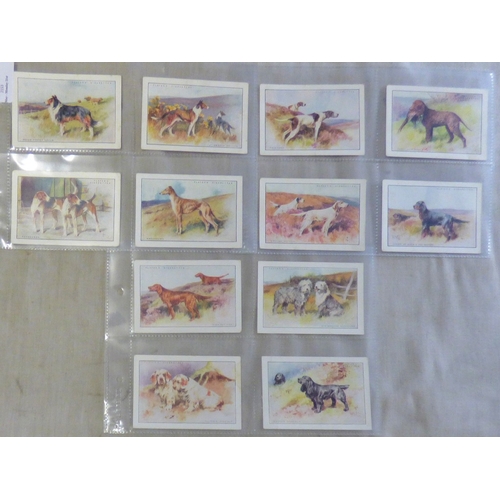 68 - John Player & Sons cigarette cards 2 sets, Dogs by Wardle (Full Length) 1933 set L25/25 and Dogs Sce... 