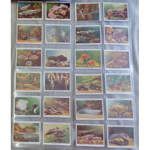 73 - John Player & Sons cigarette cards 2 sets, Aquarium Studies 1932 set L25/25 cards and Architectural ... 