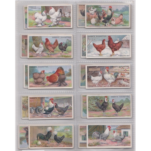 182 - Ogdens Poultry 1915 (A series) 20/25 cards (Ogdens on front of card) VGC and 1915 Poultry 2nd Series... 