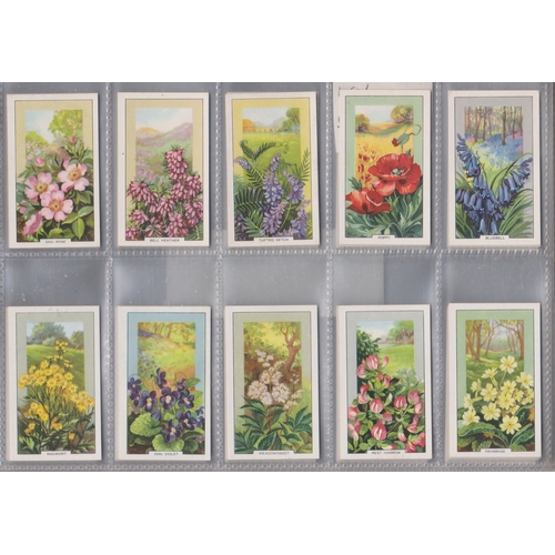 232 - Gallaher Ltd (2 sets) 2 wild flowers 1939 series 48/48 cards, VGC