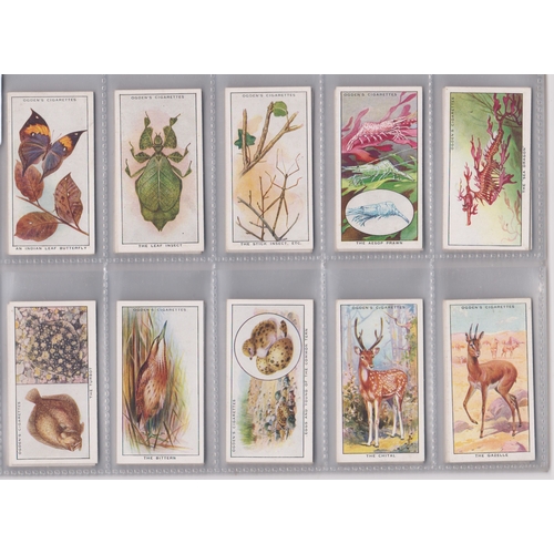 256 - Ogdens Ltd Colours in Nature 1932 set 50/50 cards VGC