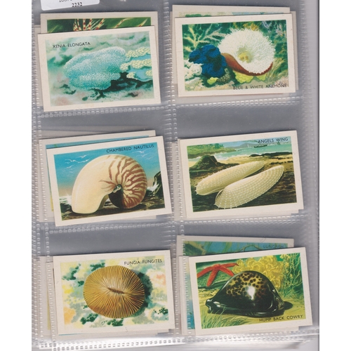 173 - Shell Trading Cards Discover Australia with Shell, 60 cards. Good condition