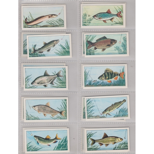 196 - Badshah Tea Co London Fish & Bait cards, 1971 set 25/25, colour drawings of fish species carp, bream... 