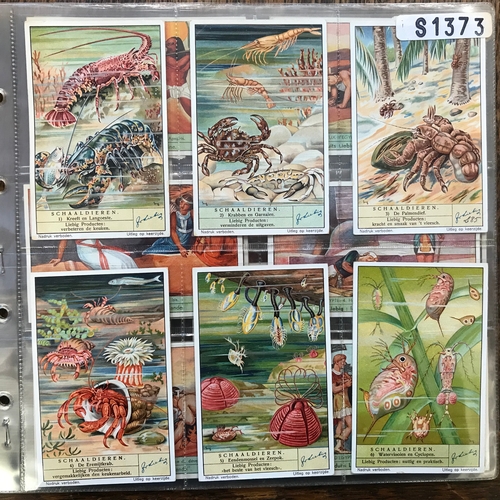 214 - Liebig 5 Full sets, Nos 1373, 1374, 1375, 1376, 1377 VGC