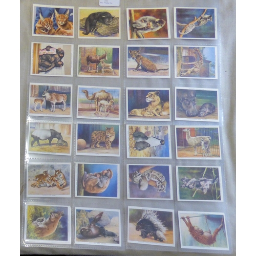 242 - Players & Wills Large Cards 10 sets, VGC, Inc. Horses, Zoo Babies, Sporting Personalities, Old Sundi... 