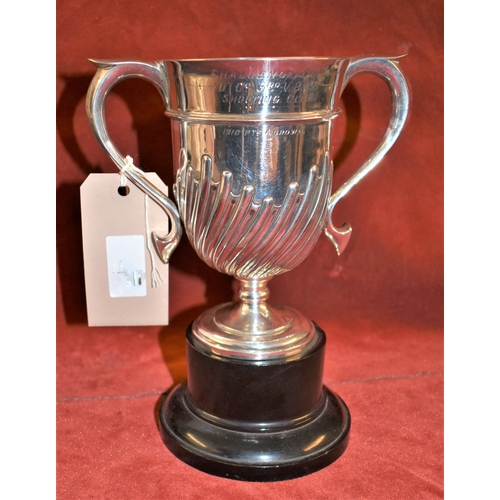 27 - British Pre-WWI Norfolk Regiment Shooting Trophy, a silver Challenge trophy for 