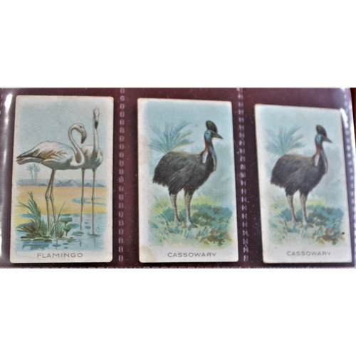 17 - W.D. & H.O. Wills Animals and Birds 1900 series, (7) cards. VG, scarce