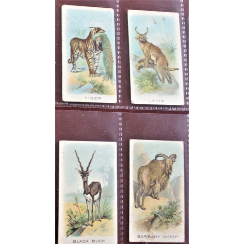 17 - W.D. & H.O. Wills Animals and Birds 1900 series, (7) cards. VG, scarce