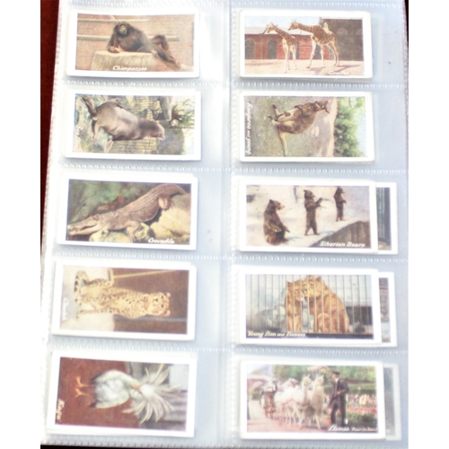 42 - Typhoo Tea Trade Cards (9) full sets including Common Objects highly magnified, William Shakespeare,... 