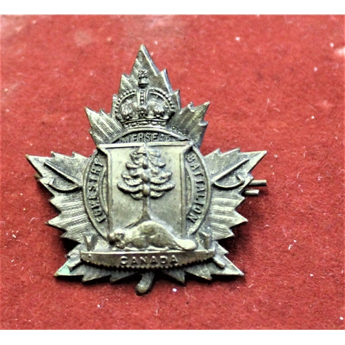 112 - Canada 230th Overseas Forestry Battalion CEF Interwar Cap Badge, (gilding metal, lugs)