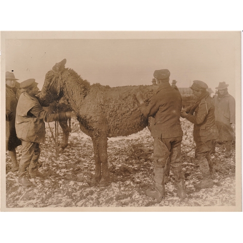 Lot 149       