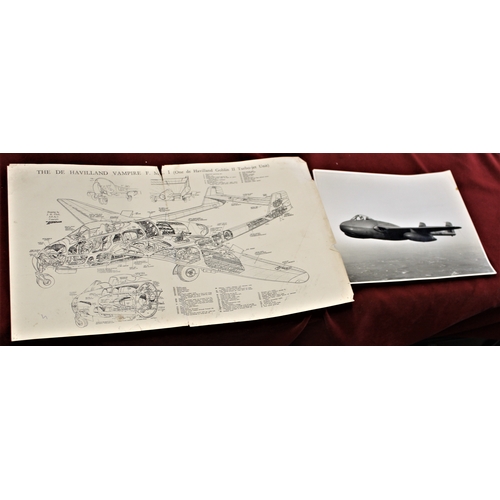 Lot 151       