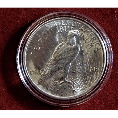 159 - USA 1923 - Silver Peace Dollar AUNC