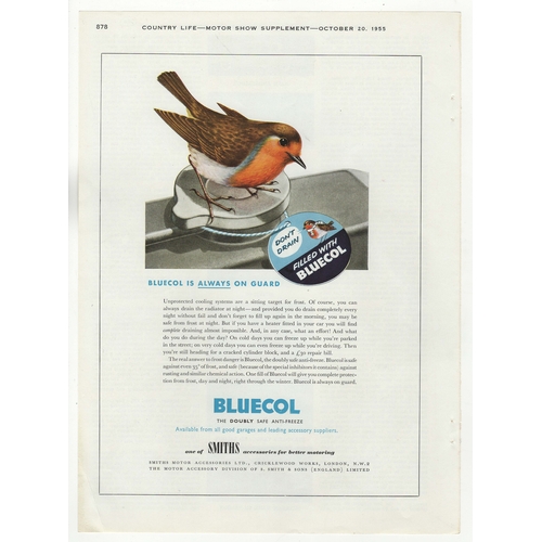 710 - Bluecol Anti-Freeze 1955-full page advertisement-'Robin-Smiths Motor Accessories'-9