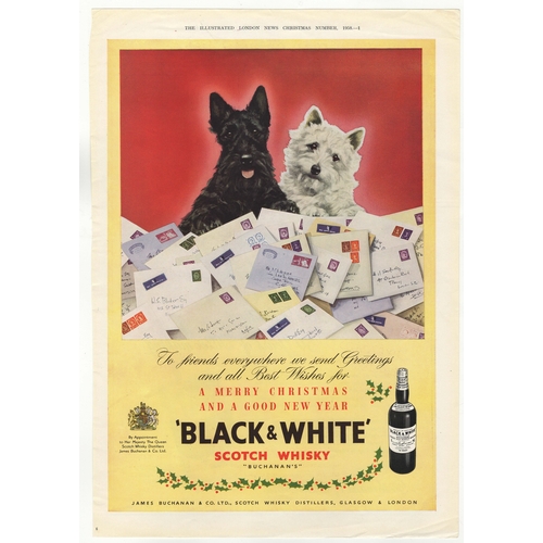 950 - Black + White Scotch Whisky 1958-full page colour advertisement -Scottie Dogs-Buchanan + Co-10