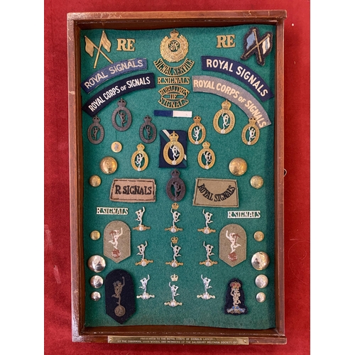 1198 - British Royal Corps of Signals display box containing many regimental cap badges, collar badges, sho... 