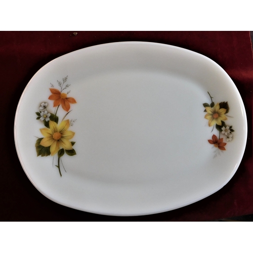 25 - (6) Pyrex Diner Plates - Flower pattern-oval shape very good condition