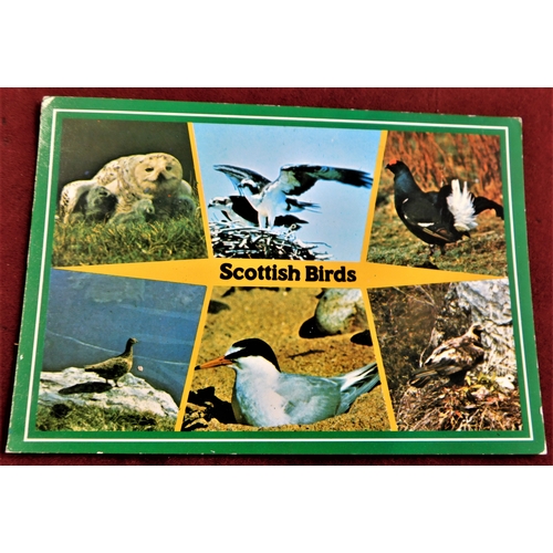 350 - Scottish-coloured (40+) good condition