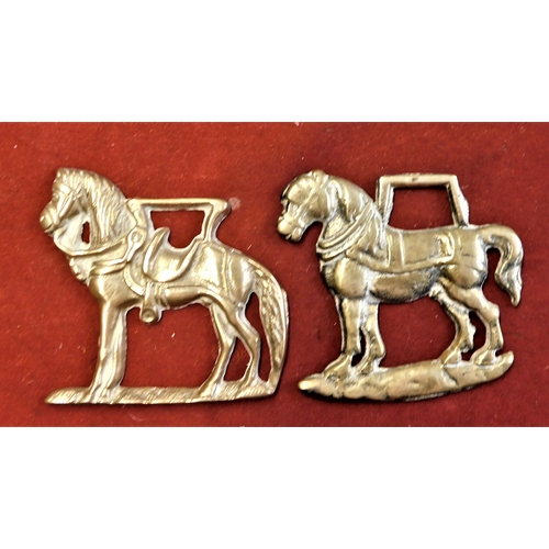 475 - Brass Horse Brasses - Various Brasses including Shakespeare - Tally 'Ho' Wookey Hole - New Forest et... 