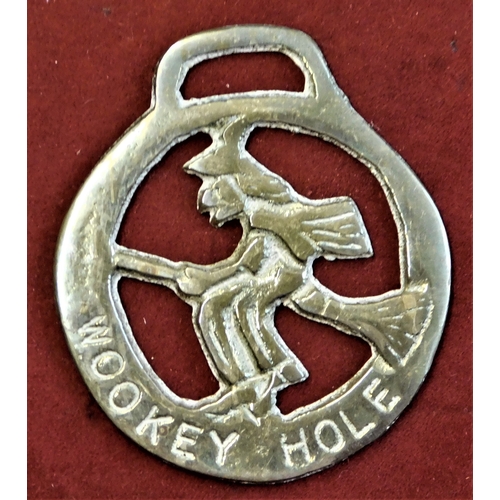 475 - Brass Horse Brasses - Various Brasses including Shakespeare - Tally 'Ho' Wookey Hole - New Forest et... 