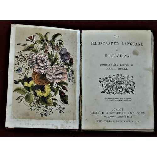 211 - Book - The Illustrated Language of Flowers 1882- slight foxing - good condition