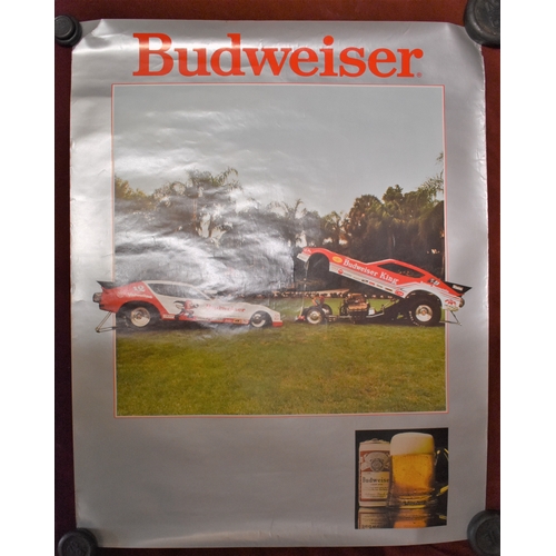 277 - Posters - Budweiser' coloured picture of Dragsters Cars, measurements 71cm x 56cm, 1979 - Rudolph Va... 