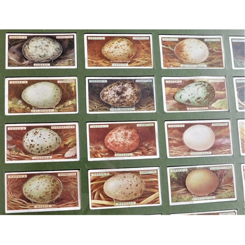 402 - Framed Picture of Ogdens Bird's Eggs - cut out full set (50) very good condition BUYER COLLECT