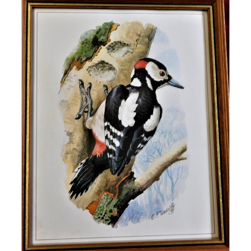 433 - (4) framed pictures of Birds - Artist C.F.Tunnicliffe Lot no.1255 coloured measurements 25cm x 20cm.... 