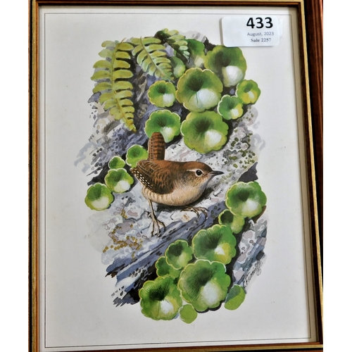 433 - (4) framed pictures of Birds - Artist C.F.Tunnicliffe Lot no.1255 coloured measurements 25cm x 20cm.... 