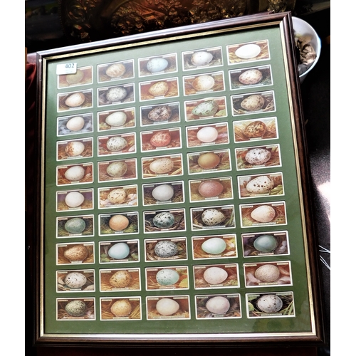 402 - Framed Picture of Ogdens Bird's Eggs - cut out full set (50) very good condition BUYER COLLECT