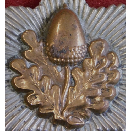 255 - British The Cheshire Regiment cap badge (Bi-metal)