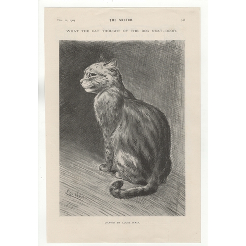 603 - Louis Wain 1904-page black and white - 'What The Cat Thought Of The Dog Next Door-very fine-10