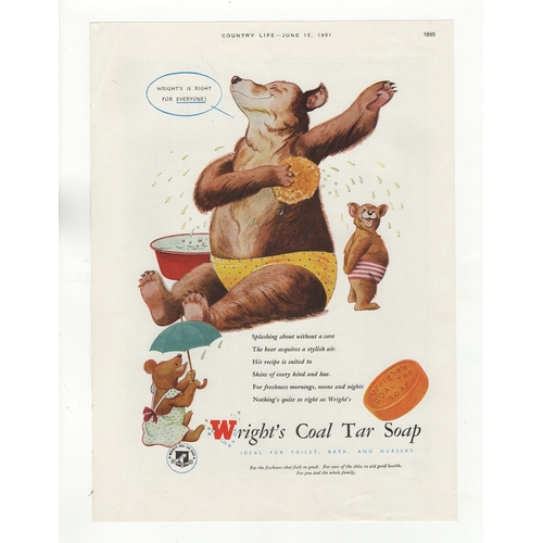 658 - Wright's Coal Tar Soap 1951-full page advertisement -'Bears Washing! Wright's Is Right For Everyone'... 