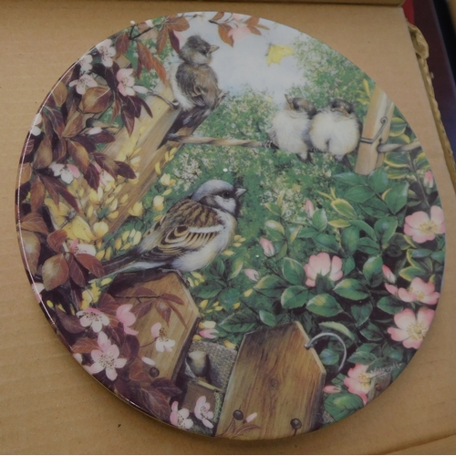 606 - Decorative China Plates - Coalport Garden Visitors, all with certificate of authenticity 8