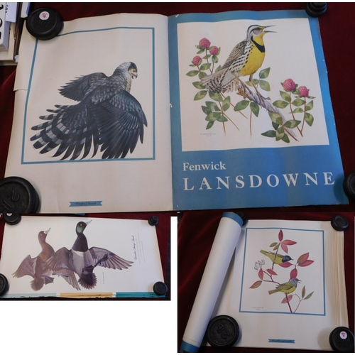 629 - (9) Birds Prints - coloured bird prints, some by F.L. Lansdowne, good condition, may have some folds... 