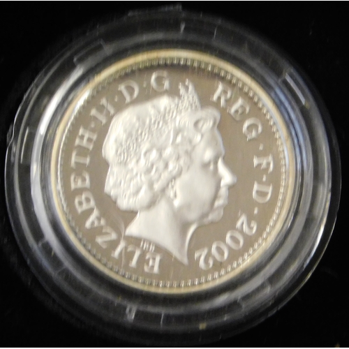 124 - Great Britain 2002 silver proof £1, Royal Mint case and certificate