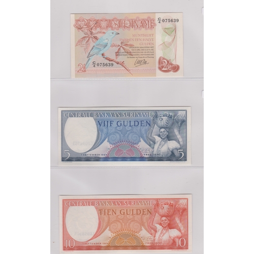 211 - Suriname 1963-2000 - Collection of (23 notes) VF to AUNC 2000s, Birds AUNC to 5000 Gild (152)