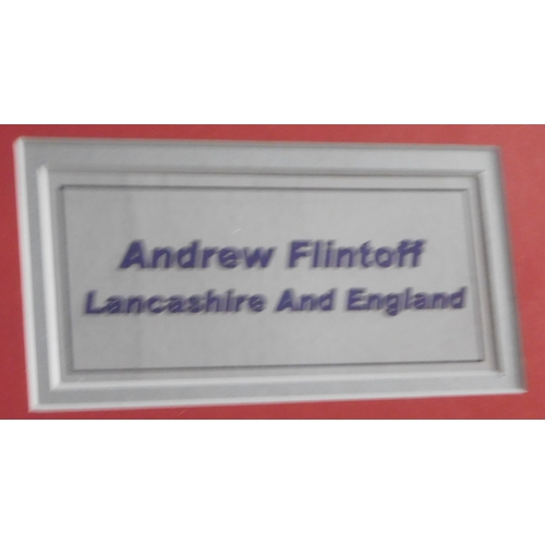 201 - Andrew Flintoff Framed, signed England one day shirt, 2005-06, nice example. Buyer collects