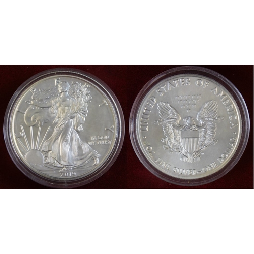 635 - USA 2019 1oz Silver Dollar, mint in capsule