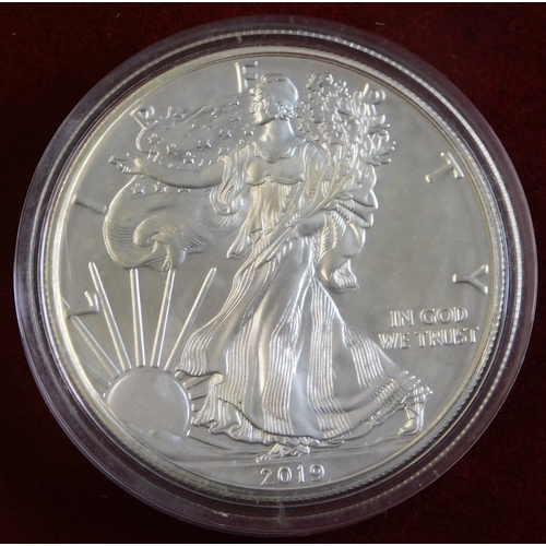 635 - USA 2019 1oz Silver Dollar, mint in capsule