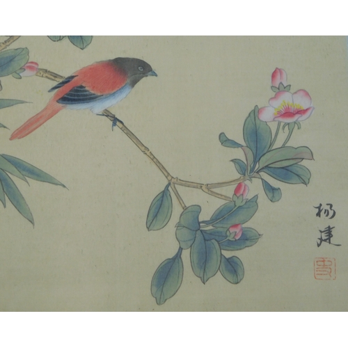 917 - Chinese 20th Century Gouache paintings of birds on silk, four framed pictures. Buyer collects