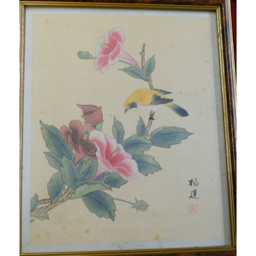 917 - Chinese 20th Century Gouache paintings of birds on silk, four framed pictures. Buyer collects