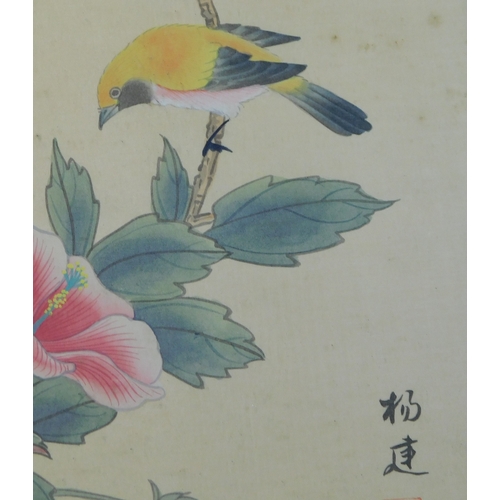 917 - Chinese 20th Century Gouache paintings of birds on silk, four framed pictures. Buyer collects