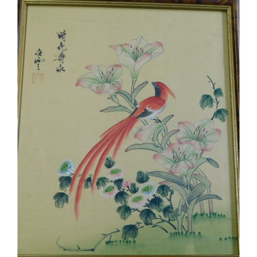 917 - Chinese 20th Century Gouache paintings of birds on silk, four framed pictures. Buyer collects