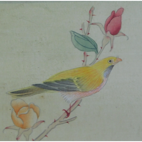 917 - Chinese 20th Century Gouache paintings of birds on silk, four framed pictures. Buyer collects