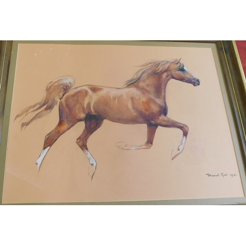 654 - Gill, Muriel (20th Century Artist) Fine watercolour trotting horse dated and signed 1981. Very fine ... 