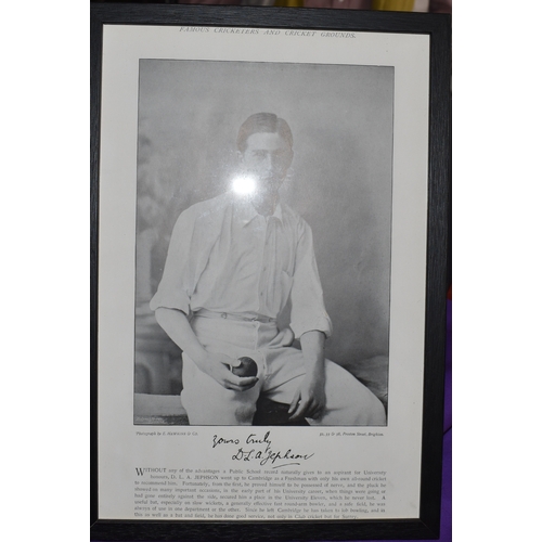 313 - Framed Print of C.H. Baldwin, Cricketer, Hampshire's promotion to the front rank of counties, photog... 