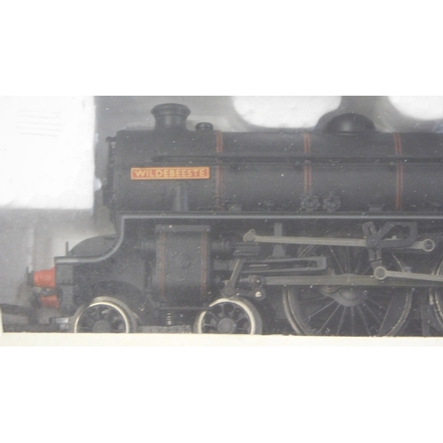 679 - Bachmann Locomotive 31-703 B1 '61010' 'Wildebeest' BR lined black (non elec generator) late crest, m... 