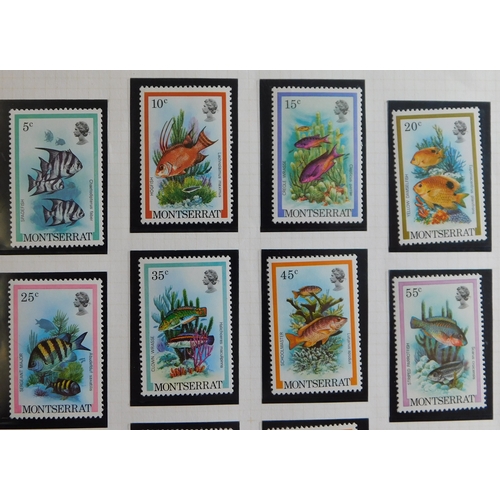 1176 - Montserrat - 1981 Set 5c-$10 (16)  Definitive Set Fishes, SG490/505, l/m/mint.