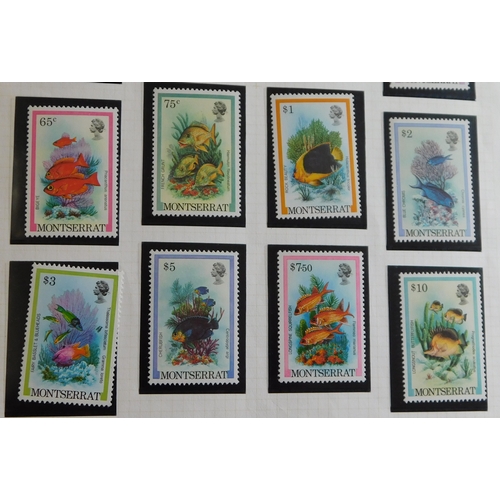 1176 - Montserrat - 1981 Set 5c-$10 (16)  Definitive Set Fishes, SG490/505, l/m/mint.